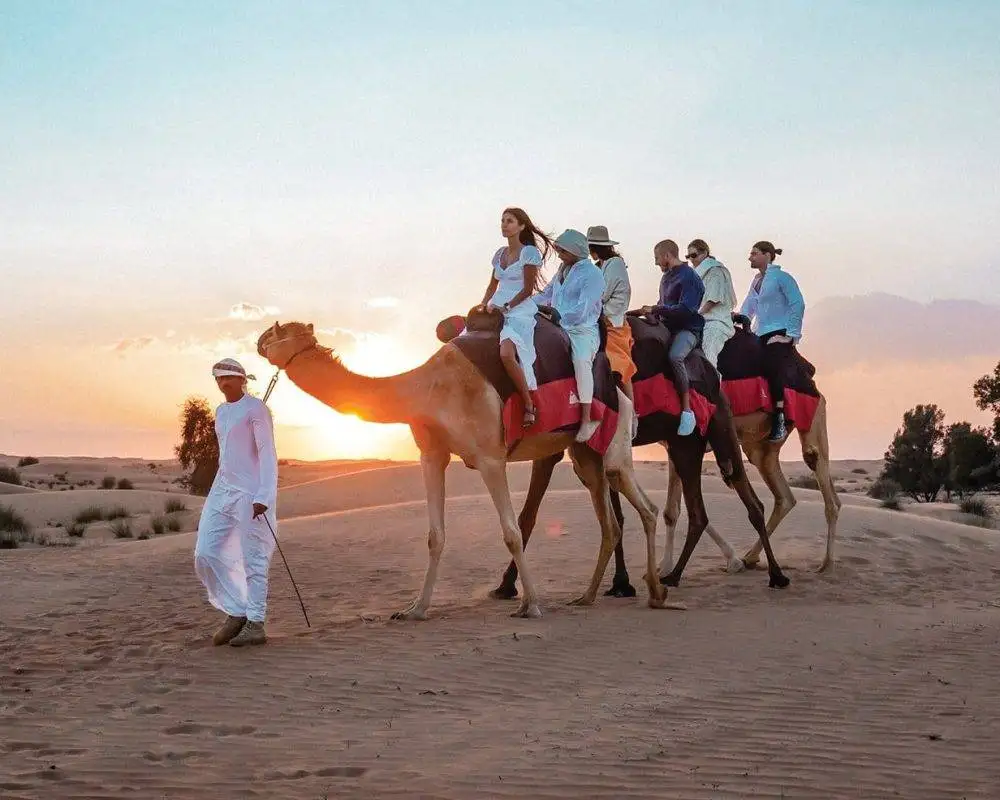 Morning-Desert-Safari-with-camal-ride-1